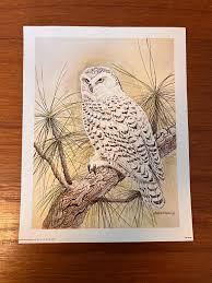 Snowy White Owl Print - Pine Tree Branch - 1979 - Artist ...