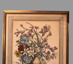 Vintage Floral Botanical Still Life Framed Print Flowers in ...