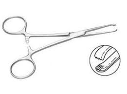 Allis Tissue Forceps 6" – The Suture Buddy