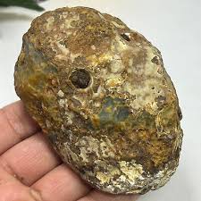 279g Bonsai Suiseki-Natural Gobi Agate Eyes Stone-Rare ...