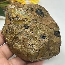 333g Bonsai Suiseki-Natural Gobi Agate Eyes Stone-Rare ...