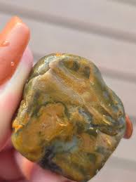 Found in Lake Superior. What are these?