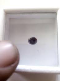 NATURAL UNTREATED- BLACKDIAMOND - 0.70CTWSIZE,1PCS,NR