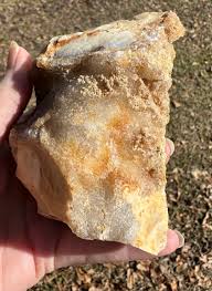 Savannah River Agate Specimen #48| Gems & Minerals Rock