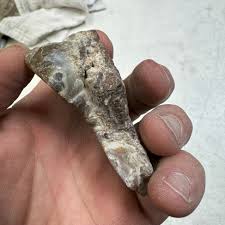 AGUASCALIENTES FIRE AGATE Polished Specimen – SilverHill ...