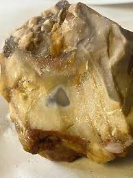 petrified wood 9oz rough agatized opalized special ...