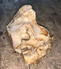 Fully Opalized Petrified Wood Rough Specimen 1.1 oz | eBay