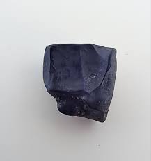 Ceratopsian Tooth, Judith River Formation| The Daily Rex