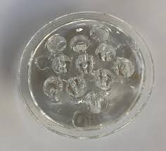 Vintage Clear Glass Flower Frog W/ 11 Holes For Stem Holder ...