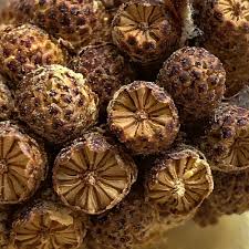 March 2021 – Everything is Not Black and White