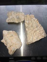 3 Sandstone Rock Fossil Specimen full of Shells | eBay