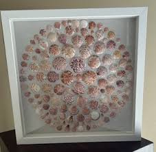 Shell Shadowbox for sale | eBay