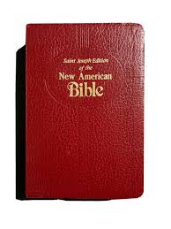 Saint Joseph Edition of the New American Bible 609/10R Medium Size Red Catholic | eBay