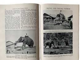 Vintage Newnes Pictorial Knowledge SET - Volumes 1-10 | eBay UK