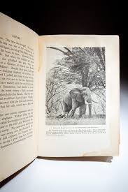 Safari: A Saga Of The African Blue - The First Edition Rare Books