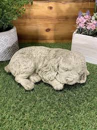 Stone Garden Lying Spaniel Dog Puppy Sleeping Hound ...