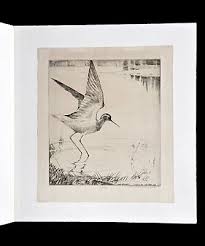 Henry Emerson Tuttle etching Lesser Yellow Legs Nantucket | eBay