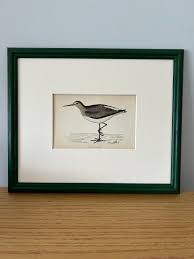 Brunswick Green Ridged Framed Original Antique Bird ...