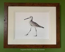 OBX Coastal Birds Sandpiper Original Illustration, Hand ...