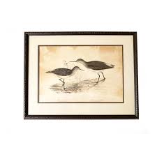 Antique Gould, Joseph Wolf, h.c. Richter Hand Colored ...