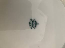 Schumann Bavaria, Selesia, - Etsy