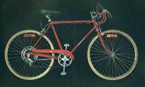1973 schwinn collegiate