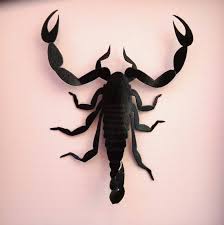 Black Scorpion Faux Taxidermy Insect Shadow Box Framed Faux ...