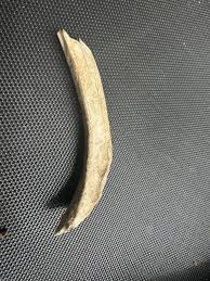 What bone is this : r/Anatomy