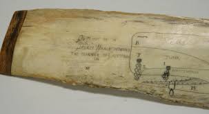 Whale Bone Scrimshaw · McKay Library Special Collections