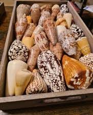 Second hand Marcus Replicas in Ireland | 51 used Marcus Replicas