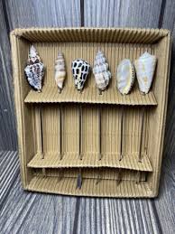 Natural Shell Cocktail Picks Barware Beach Sand Set of 6 Ocean Theme | eBay