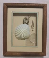 Seashell Ocean Oak Framed Glass Box Neptune Collection By ...