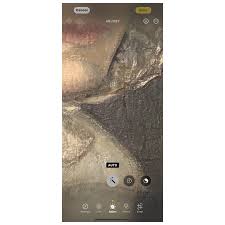 American Antique Restored Oil Portrait. For Sale at Ruby Lane