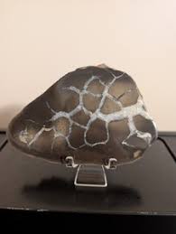 Septarian Slice | eBay