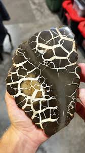 Polishing Lightning Stone “Septarian” 🤯 - YouTube