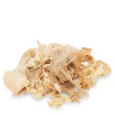 Scented Botanicals - Beach House Sample - ScentBox | Scent ...