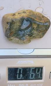 Baby Shark Jasper Agate Specimen Mineral Crystal Stone 6.4oz ...