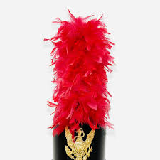 Custom Upright Feather Shako Plumes - Red – Wooi Music