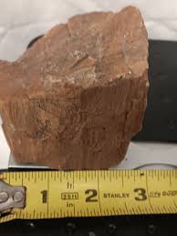 Utah Petrified Wood Round Grain Unique 1 1/4 Lb Display ...