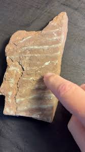 Ancient Shorelines Preserved in Rocks / EaT Daily 15 ...