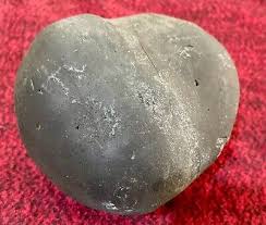 GOLDEN SALIGRAM - Ammonite Fossils from Himalayan Mountains ...