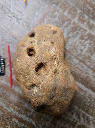Why is my rock disguised as a rotten potatoe? : r/whatsthisrock
