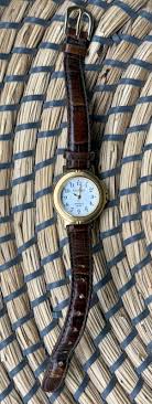 Vintage Carriage Timex Wristwatch Women's Indiglo 30M Watch Gold Tone Brown READ | eBay