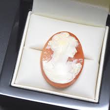 Loose Shell Cameos - Etsy Canada