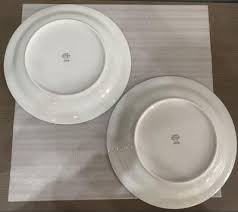 Richard Ginori Clipper Dinner Plate 26cm 2 Set Tablewares ...