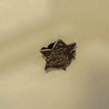 Disney Cheshire Cat Star Chaser Hidden Mickey Pin | eBay