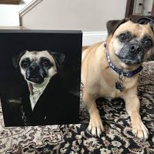 The Count Custom Renaissance Pet Canvas | Crown & Paw