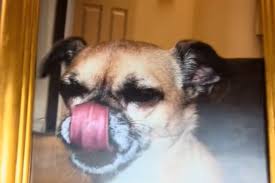 Internet in Tears Over What Woman Finds in Thrift Store: 'Very Loved Baby' - Newsweek