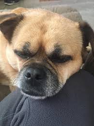 Your arms are my favorite pillow.” | Facebook