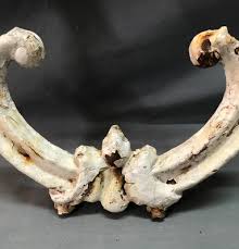 Antique VTG Shabby 9x28 Decorative Cast Iron Garden Fence Section Old 1255-25B | eBay